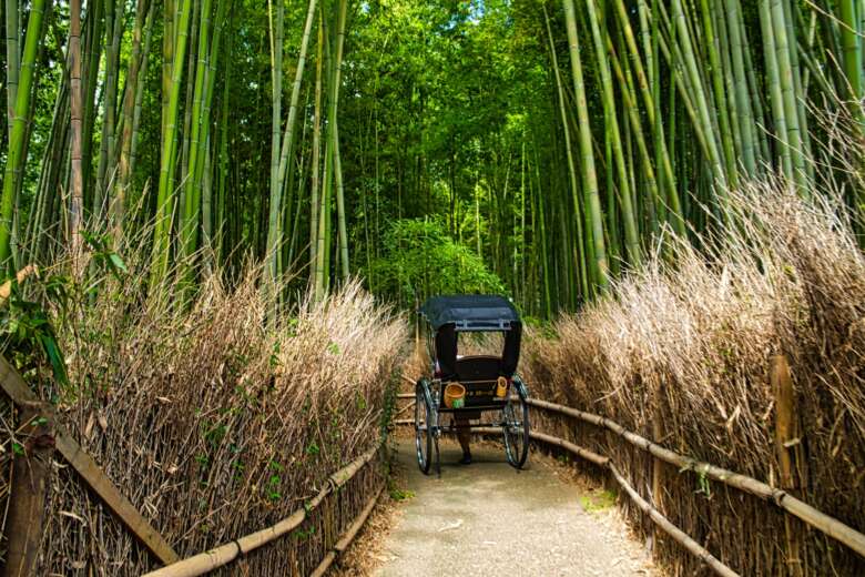 嵐山の竹林と人力車